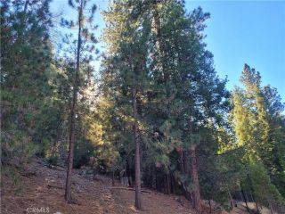 0 Brentwood, Lake Arrowhead, CA 92352
