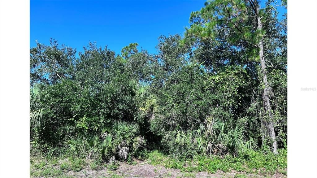 323 TROUTDALE STREET, Port Charlotte, FL 33954