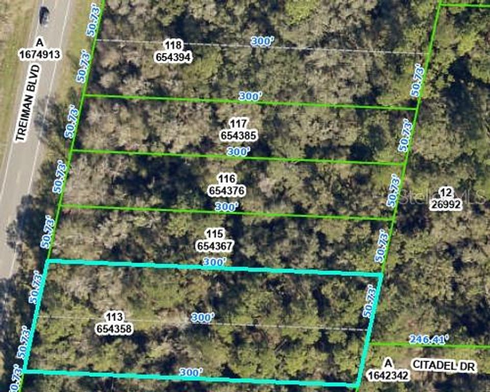 8380 TREIMAN BOULEVARD, Webster, FL 33597