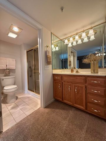 908 Swan Drive 2d, Dyer, IN 46311