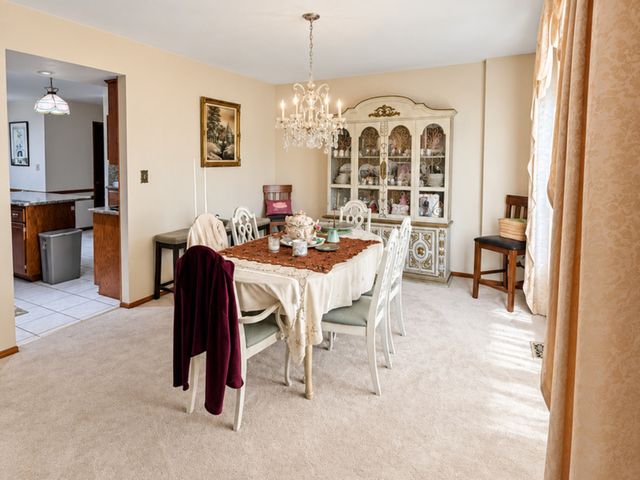 14161 Rado Drive, Homer Glen, IL 60491