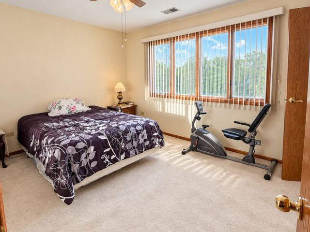 14161 Rado Drive, Homer Glen, IL 60491