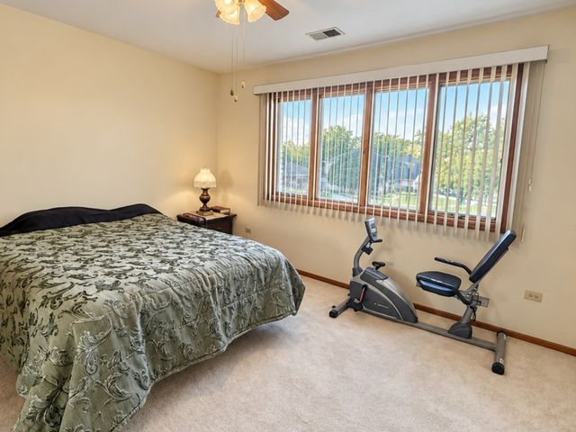 14161 Rado Drive, Homer Glen, IL 60491