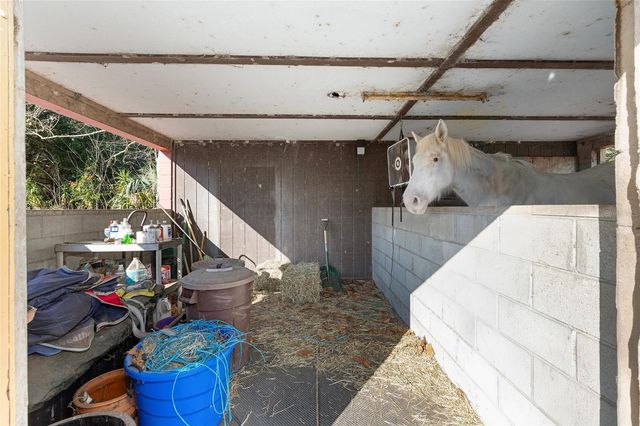 825 NE 165TH STREET, Citra, FL 32113