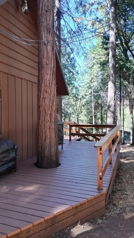 1803 John Gerney Drive, Camp Nelson, CA 93265