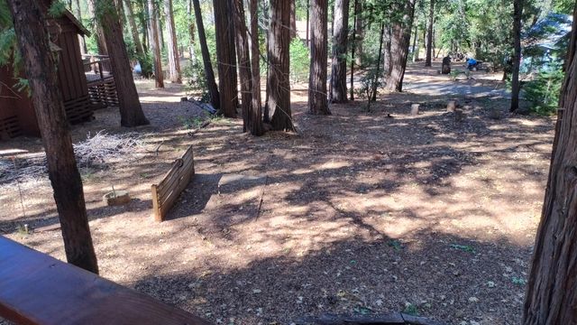 1803 John Gerney Drive, Camp Nelson, CA 93265