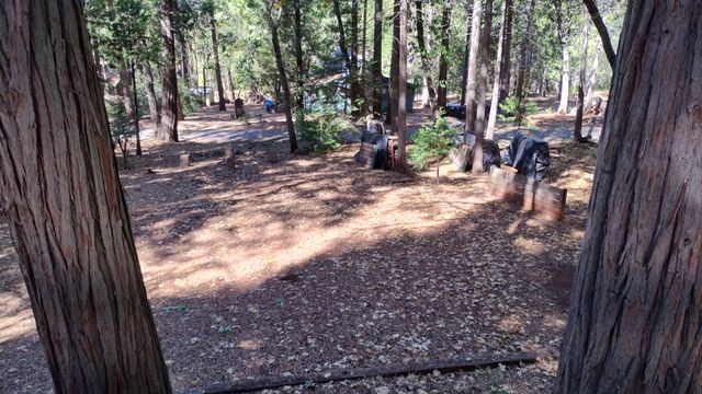 1803 John Gerney Drive, Camp Nelson, CA 93265