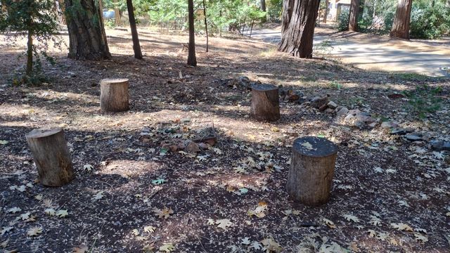 1803 John Gerney Drive, Camp Nelson, CA 93265