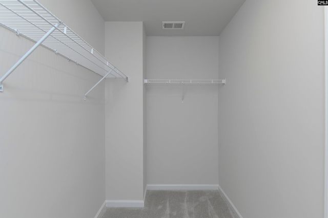 3041 Blue Brook Lane, Columbia, SC 29209