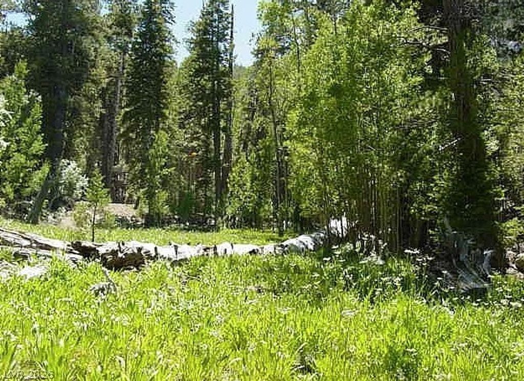 0 Deer Creek, Mount Charleston, NV 89124 — exterior