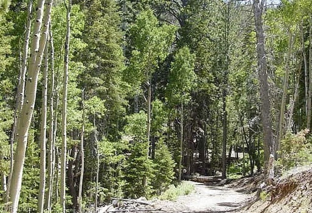 0 Deer Creek, Mount Charleston, NV 89124 — photo 4