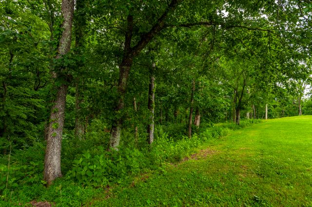 1113 E Robertson Rd, Castalian Springs, TN 37031