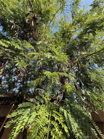 221 S Howard Street, Corona, CA 92879