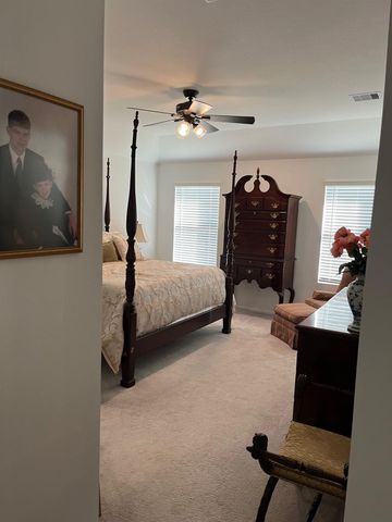 22215 Scarlino Drive, Hockley, TX 77447