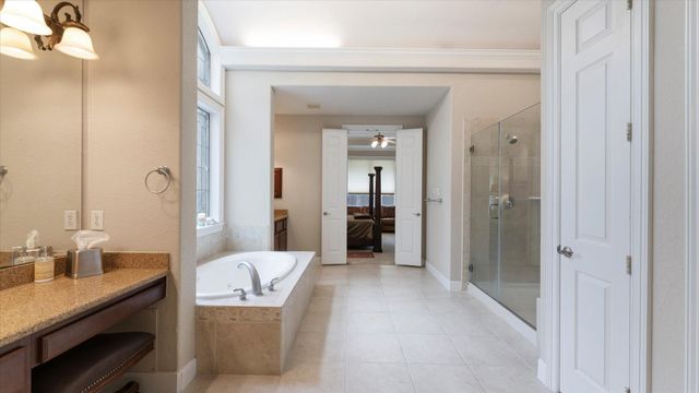 66 Chamomile Court, The Woodlands, TX 77382