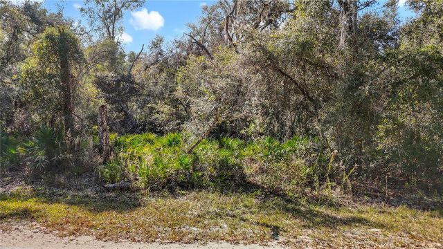 7241 SONIA AVENUE, Webster, FL 33597