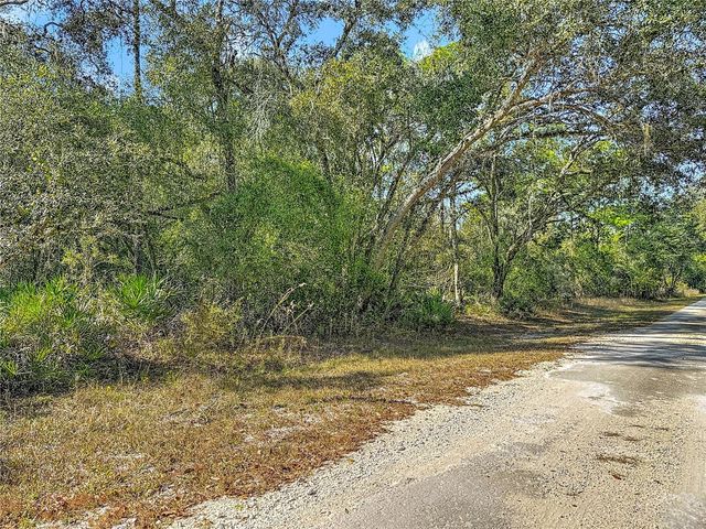 7241 SONIA AVENUE, Webster, FL 33597