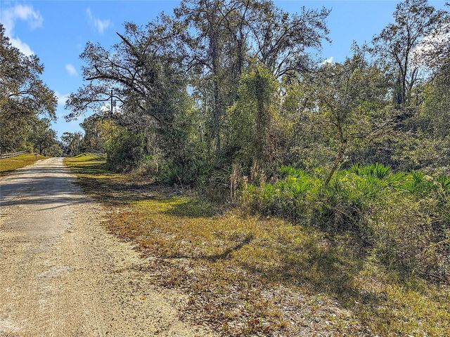 7241 SONIA AVENUE, Webster, FL 33597