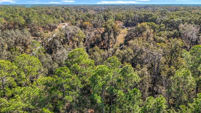 7241 SONIA AVENUE, Webster, FL 33597