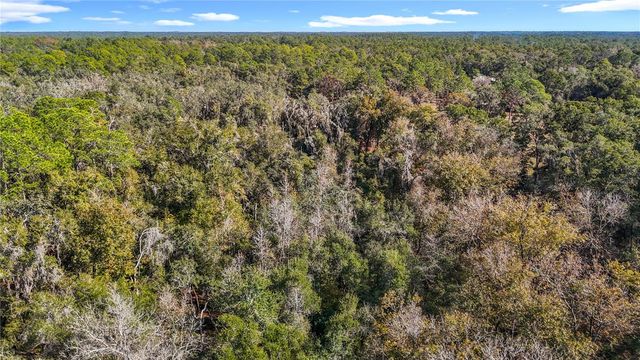 7241 SONIA AVENUE, Webster, FL 33597