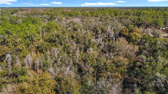 7241 SONIA AVENUE, Webster, FL 33597