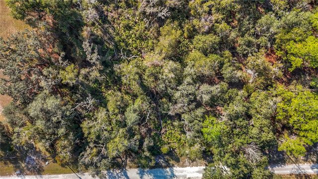 7241 SONIA AVENUE, Webster, FL 33597