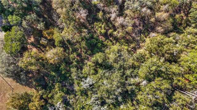 7241 SONIA AVENUE, Webster, FL 33597