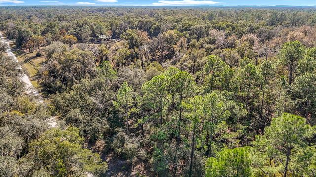 7241 SONIA AVENUE, Webster, FL 33597