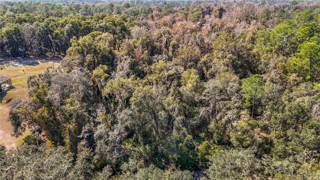 7241 SONIA AVENUE, Webster, FL 33597