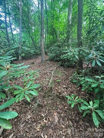 TBD Glen Cannon Drive 5-B, Pisgah Forest, NC 28768