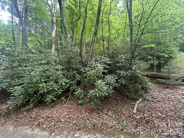 TBD Glen Cannon Drive 5-B, Pisgah Forest, NC 28768