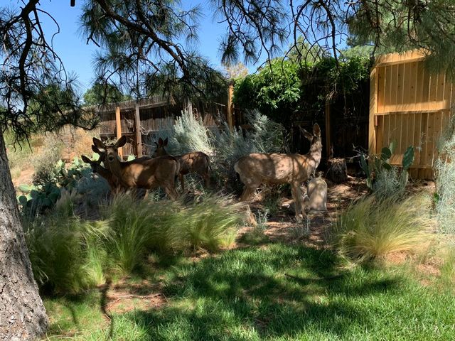 4441 Deborah Lane NE, Albuquerque, NM 87111