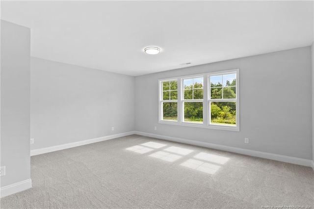 2979 S River School Road, Wade, NC 28395
