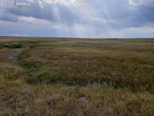 8155 Cowboy Ranch View, Falcon, CO 80831