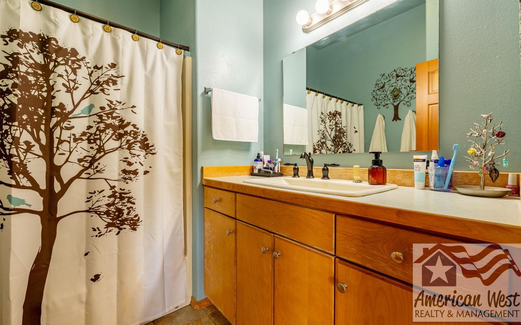 407 Diamond Basin Rd, Cody, WY 82414 photo 5