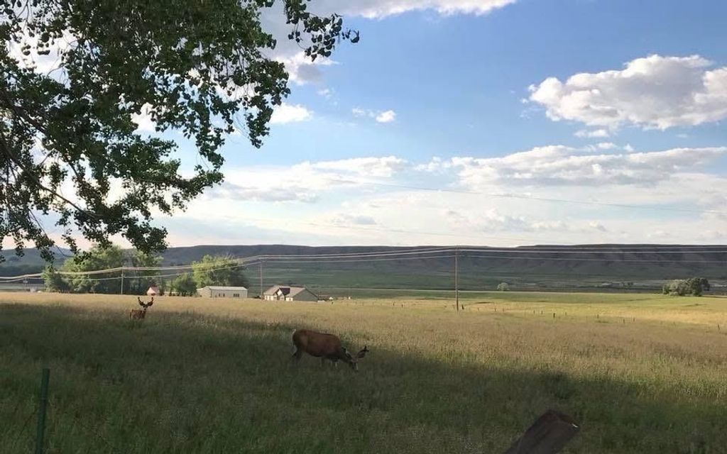 407 Diamond Basin Rd, Cody, WY 82414 photo 43