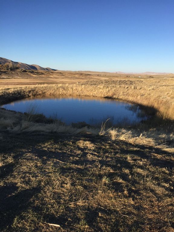 407 Diamond Basin Rd, Cody, WY 82414 photo 45