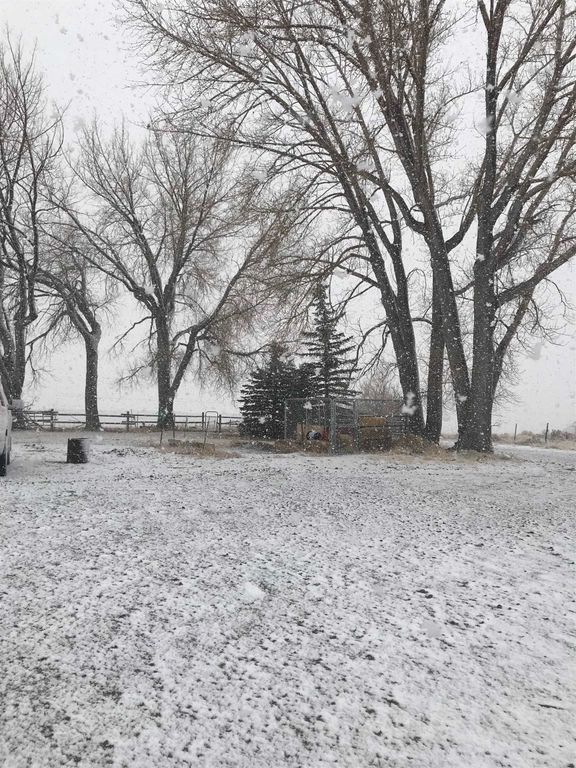 407 Diamond Basin Rd, Cody, WY 82414 photo 47