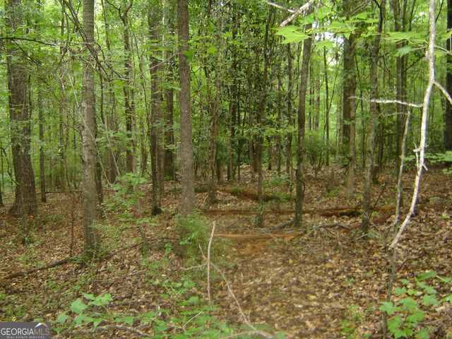 0 Covington Way, Lanett, AL 36863