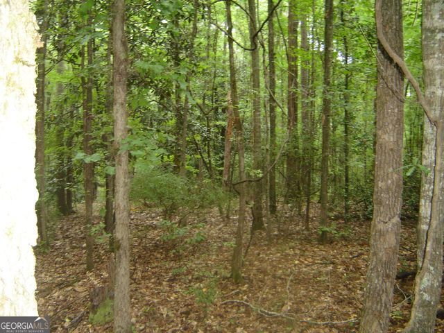 0 Covington Way, Lanett, AL 36863