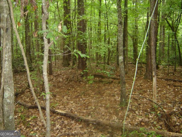 0 Covington Way, Lanett, AL 36863