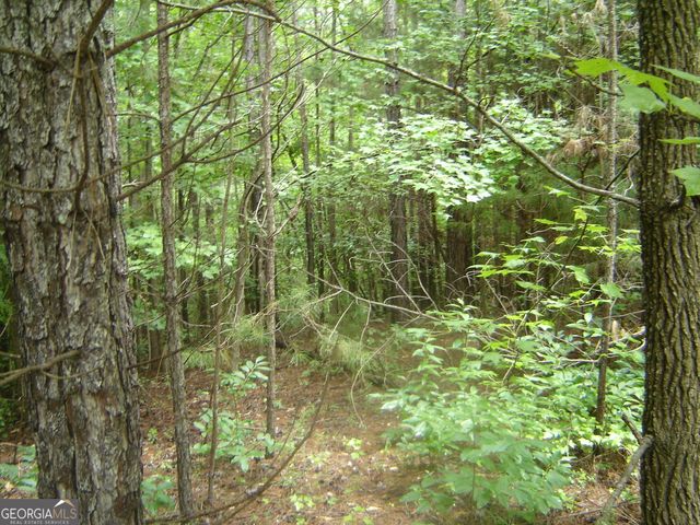 0 Covington Way, Lanett, AL 36863