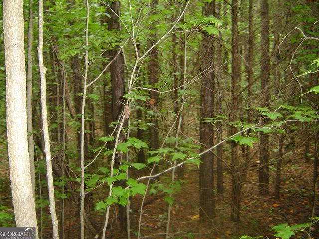 0 Covington Way, Lanett, AL 36863