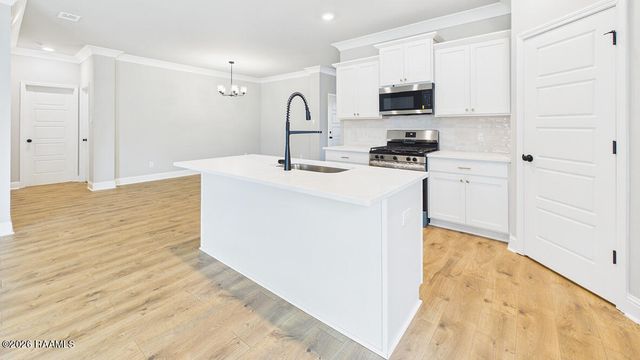 107 Belle Lake Drive, Lafayette, LA 70506