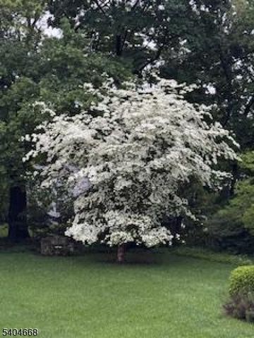 18 Tonawanda Rd, Glen Rock Boro, NJ 07452