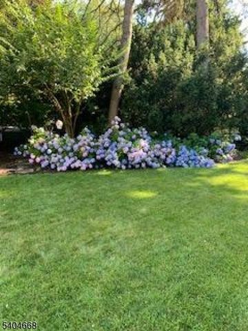 18 Tonawanda Rd, Glen Rock Boro, NJ 07452