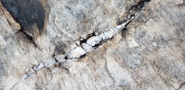 5219 Coronado Drive, Raleigh, NC 27609