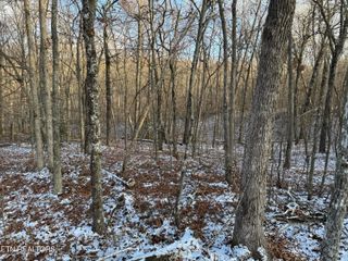 Crystal Point, Monterey, TN 38574