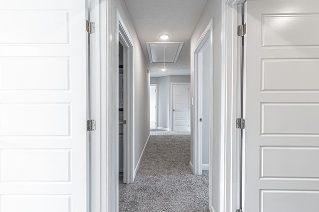 233 Cotoneaster Ln, Clarksville, TN 37043