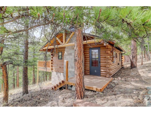 307 Virginia Rd, Bailey, CO 80421